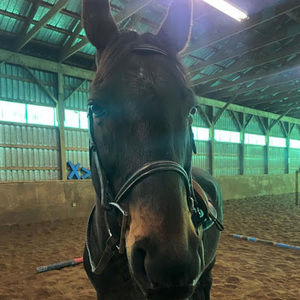 Meet your Posher, Breanne